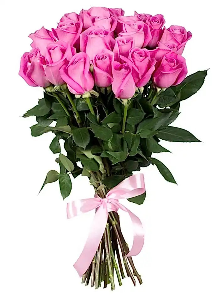 25 Pembe Gül