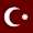 Türk flag