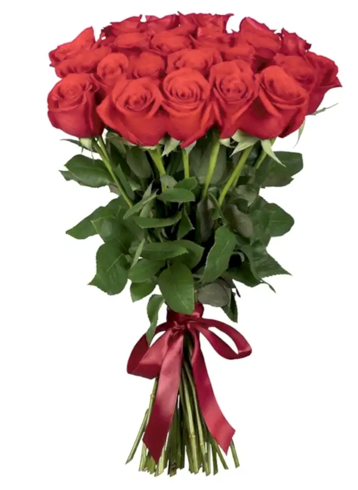Kırmızı Güller
